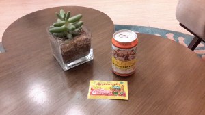 The roughly ten hours spent each day in an artificially Arctic room meant that most people got sick during orientation. This drink is supposedly good for the throat, and the yellow satchel is fulll of a dark golden goo that feels wonderful on the throat. I stocked up on both now that I am back in PP.