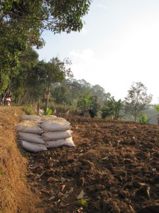 Sunday we had a blessed day off. I organized a trip with Uber people as well as ETAs to explore Tebing Keraton, a mountain on the outskirts of the city. We weren't the only ones to have that idea, however, and the road up was crowded by 6:30 a.m. This tilled field was one of many along the way.