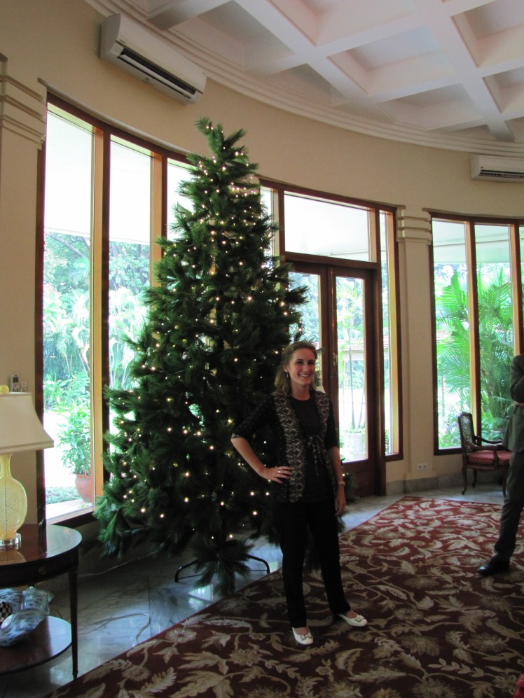 Posing with the Christmas tree in the front room. I'll be spending Christmas in Chiang Mai, Thailand this year.