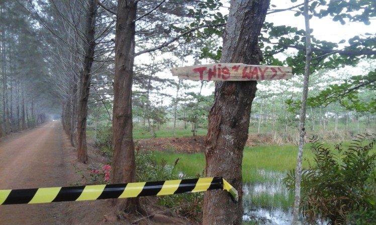 It turned out that the Zombie Run was more like a Walk and Run If There Are Zombies. I was pumped up on adrenaline and quickly found myself at the front of the pack, running with the boys. I'm not terribly in shape but I was enjoying the exercise. These signs (conveniently posted in English!) and the guy with the walkie-talkie showed us the way.