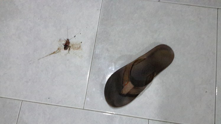 One drawback of the smack-a-roach method is the clean-up that is invovled afterward.