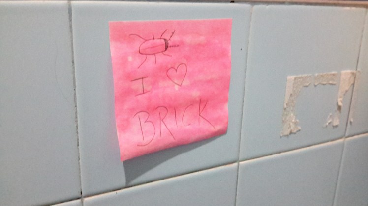 We keep bricks over the drains to keep all the creepy crawlies from making themselves at home. I made this sign to remind myself to put the brick back after showering in the main bathroom.